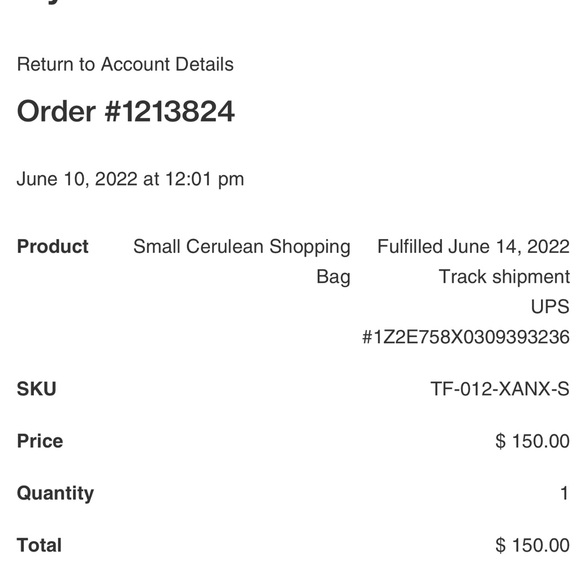 NWT Authentic Telfar Small Cerulean - Picture 5 of 6